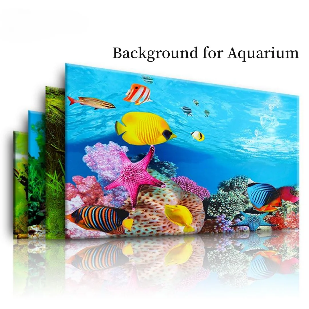 Marine Aquarium Aquascape - Background Aquarium 3D Sticker Poster Decoration