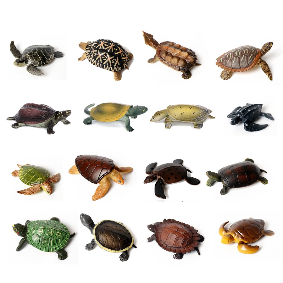 Marine Aquarium & Regional Centre Reviews - Thực Tế Bức Tiểu Họa Sinh