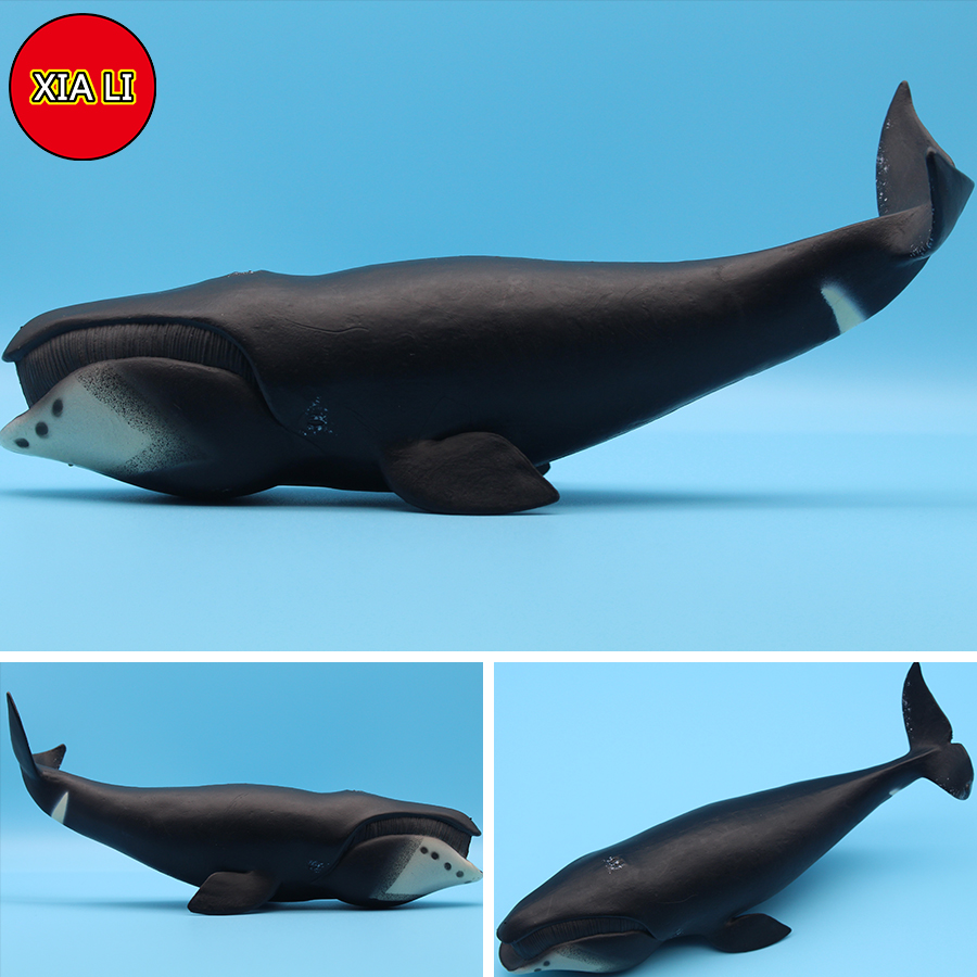Ocean Sea Life Simulation Kill - đánh giá và giá Aquarium Blue Marine