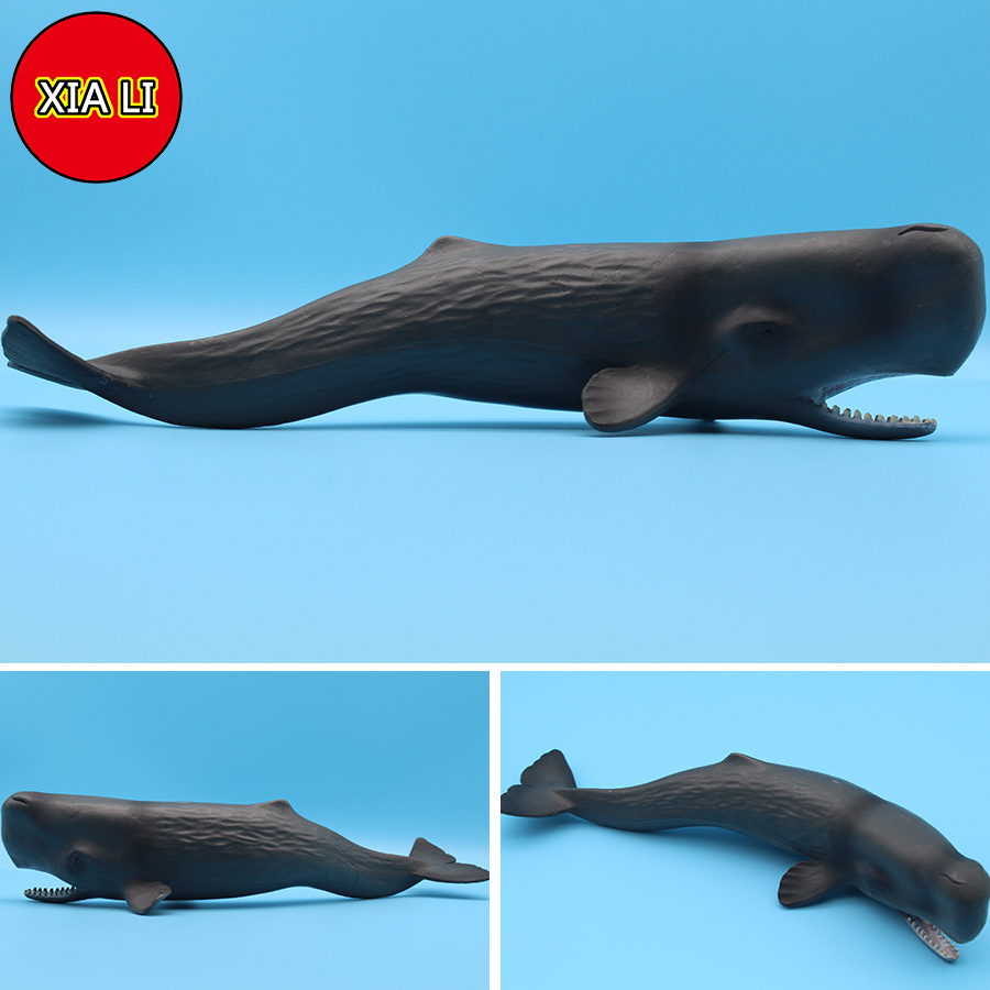 Ocean Sea Life Simulation Kill - đánh giá và giá Aquarium Blue Marine