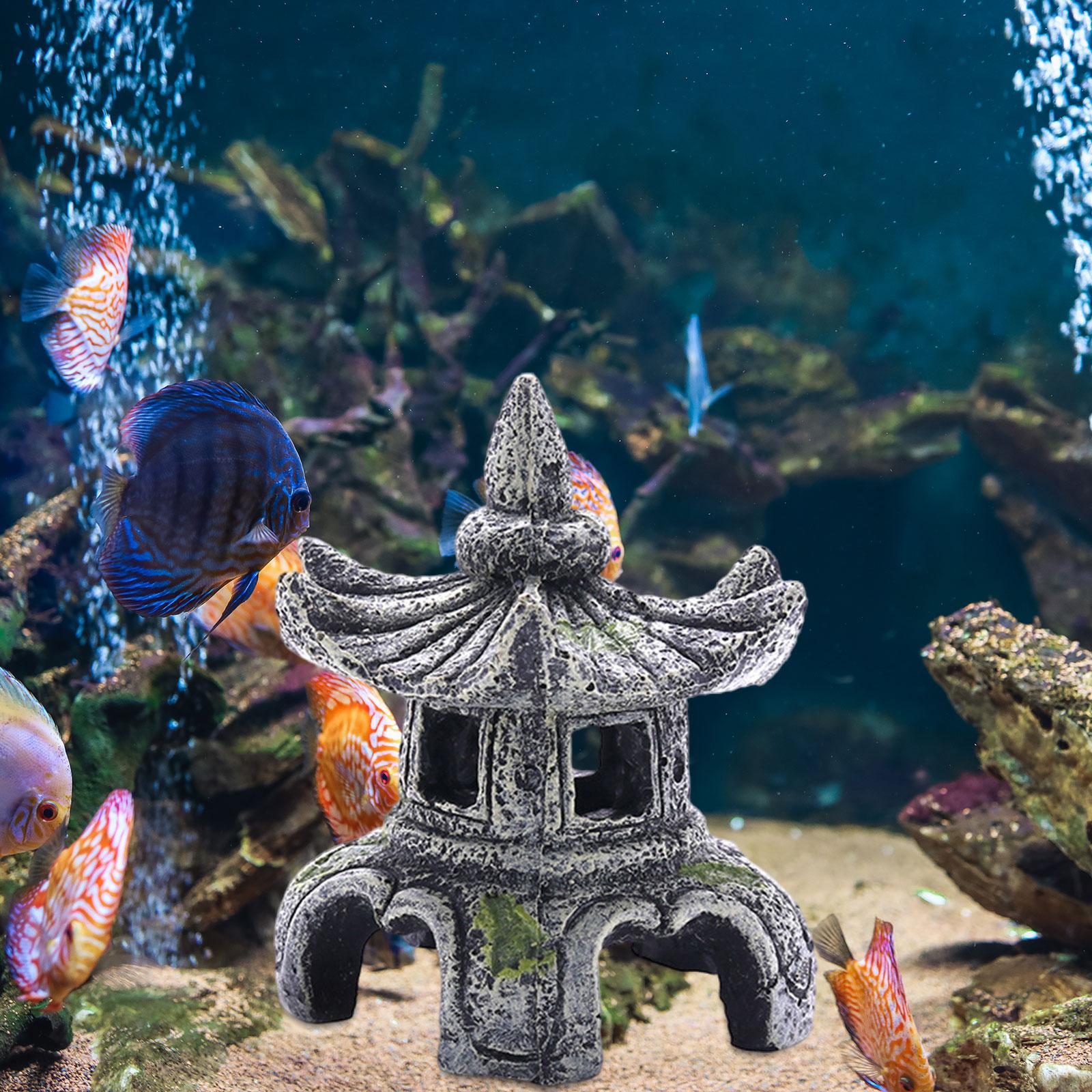 Aquarium Ornament Aquarium Acc - đánh giá và giá Marine Aquarium Aquascape
