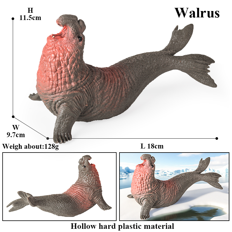 Oenux New Sea Life Seal Sea Li - đánh giá và giá Aquarium Blue Marine