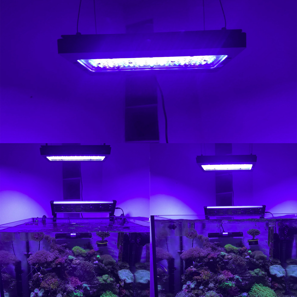 A8se Pro III MAX Blue 240W Mar - đánh giá và giá Aquarium Blue Marine
