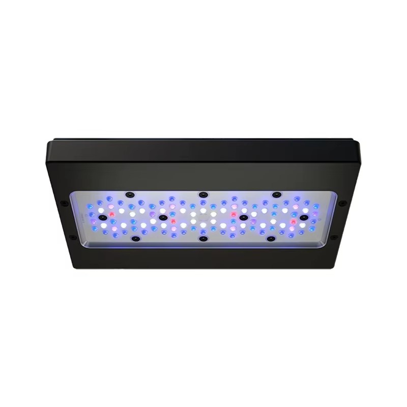 A8 Pro Blue 215W AC 110-240V W - đánh giá và giá Aquarium Blue Marine