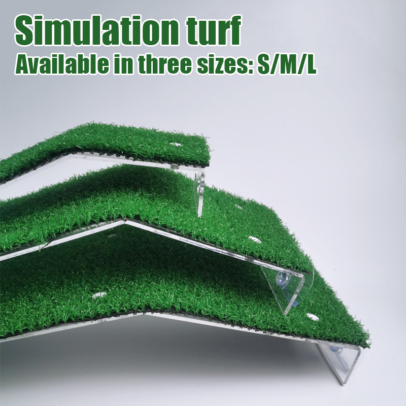 S/M/L Size Turtle Platform Flo - đánh giá và giá Marine Aquarium Aquascape