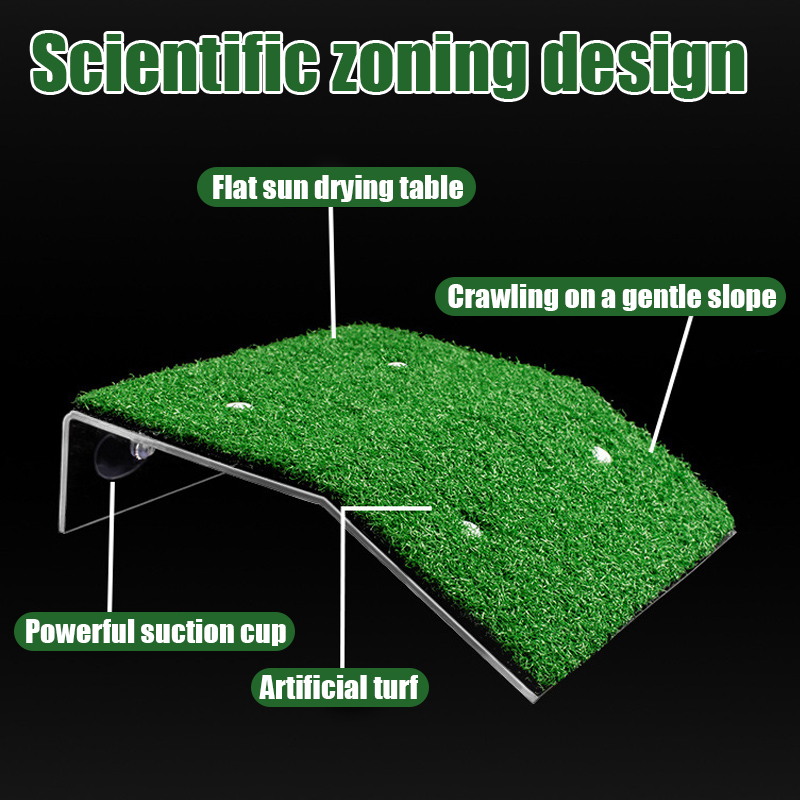 S/M/L Size Turtle Platform Flo - đánh giá và giá Marine Aquarium Aquascape