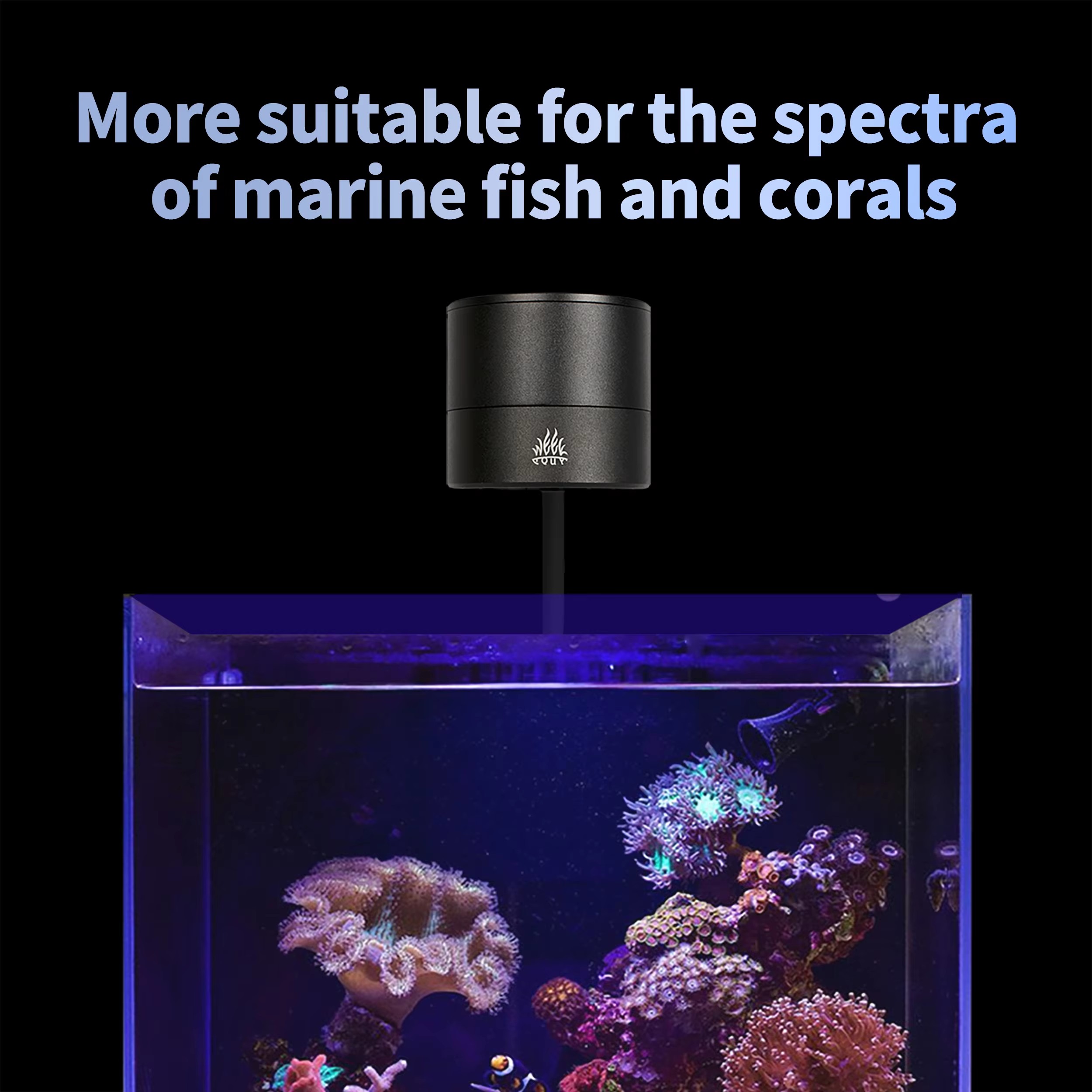 WEEK AQUA Aquarium Light Manuf - đánh giá và giá Aquarium Blue Marine