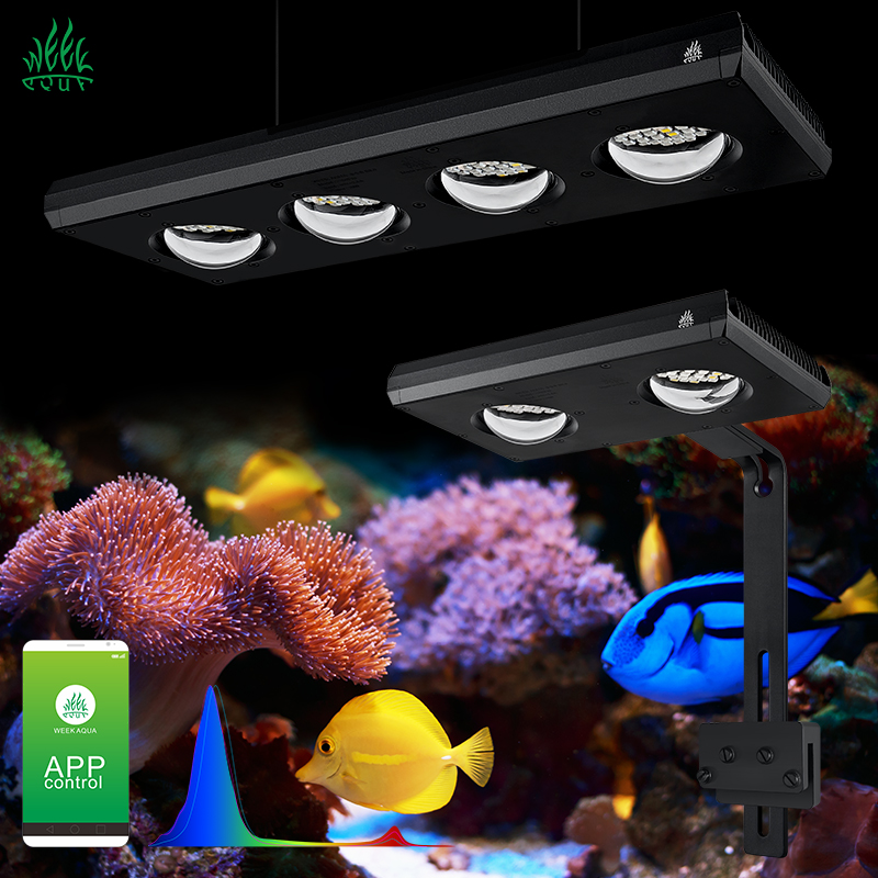 ZXY Hot Sale WEEKAQUA Z250 Z40 - đánh giá và giá Aquarium Blue Marine