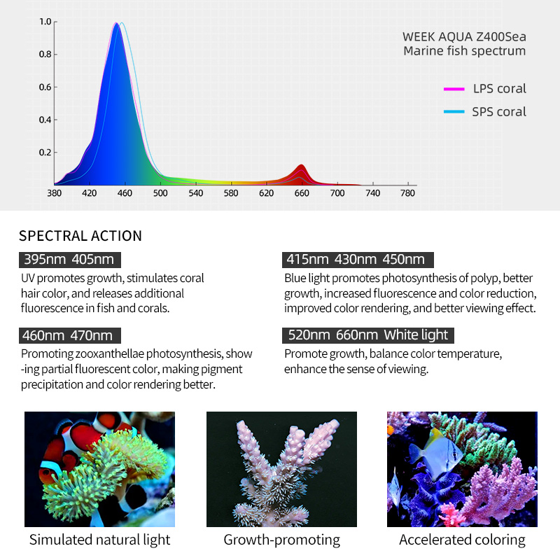 ZXY Hot Sale WEEKAQUA Z250 Z40 - đánh giá và giá Aquarium Blue Marine