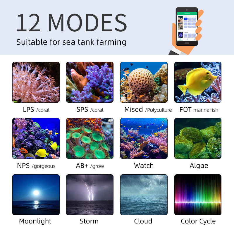 ZXY Hot Sale WEEKAQUA Z250 Z40 - đánh giá và giá Aquarium Blue Marine