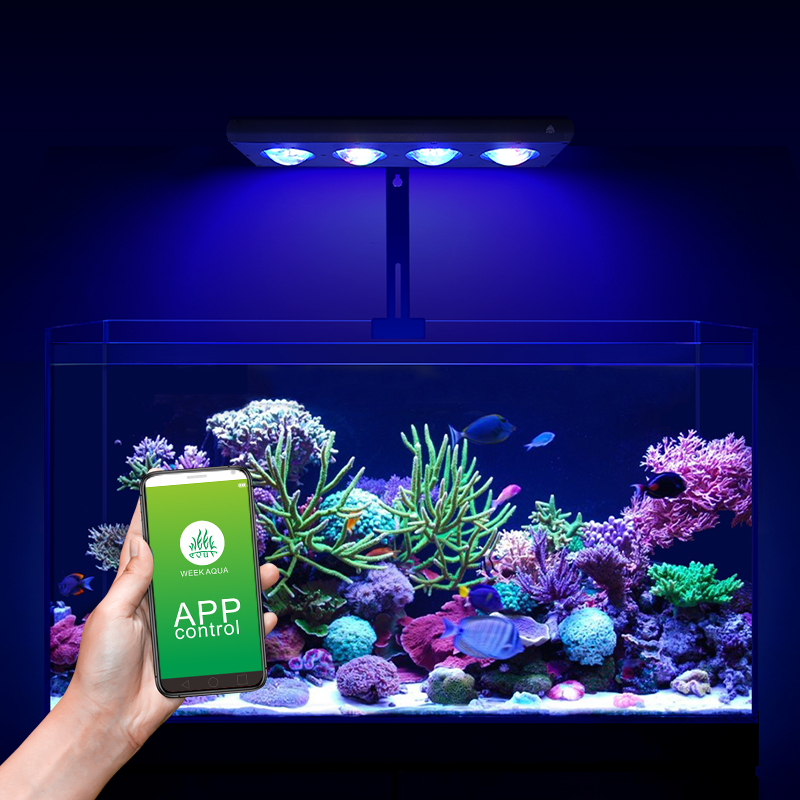 ZXY Hot Sale WEEKAQUA Z250 Z40 - đánh giá và giá Aquarium Blue Marine