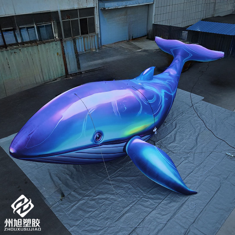 Inflatable blue whale, used as - đánh giá và giá Aquarium Blue Marine