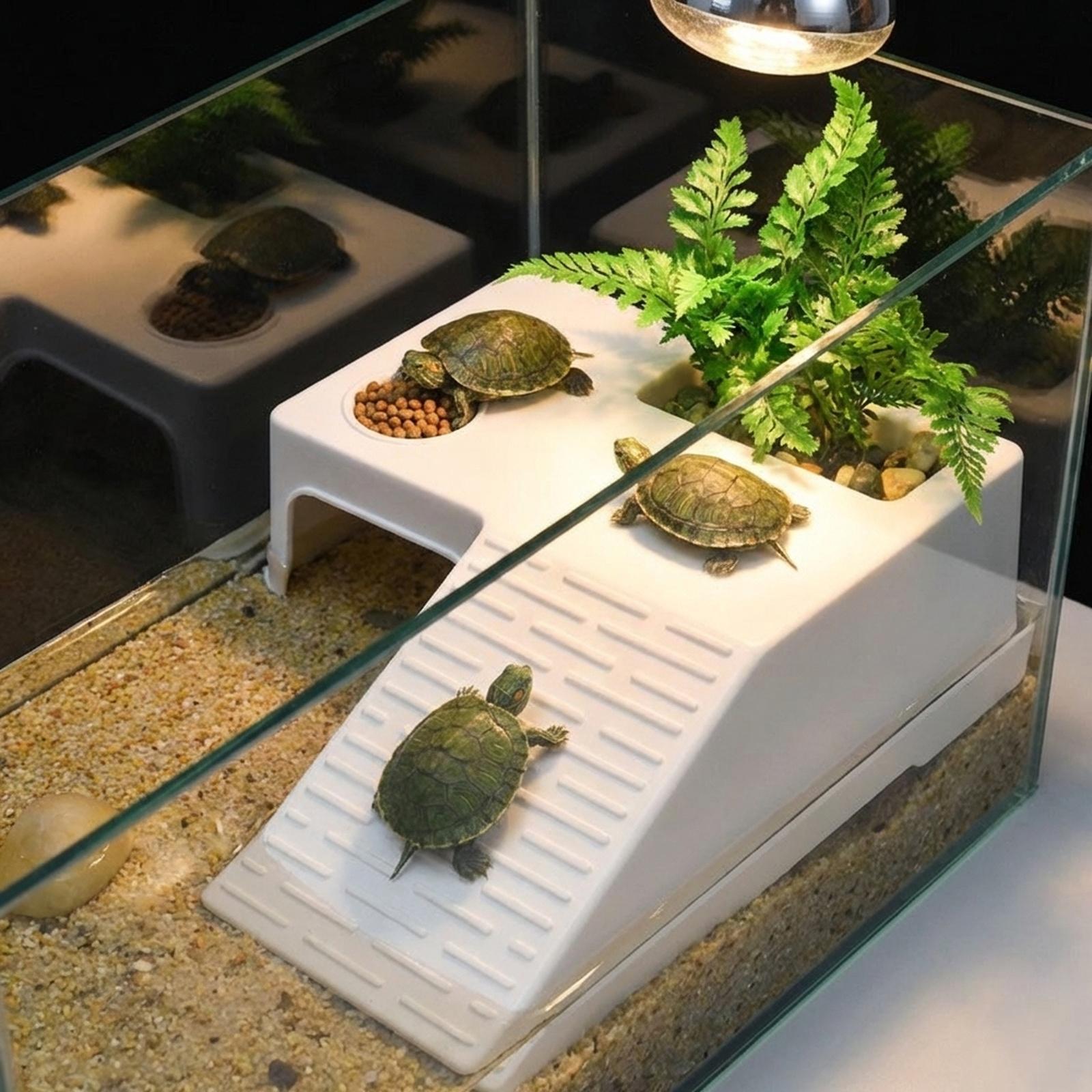 Turtle Resting Basking Platfor - đánh giá và giá Marine Aquarium Aquascape