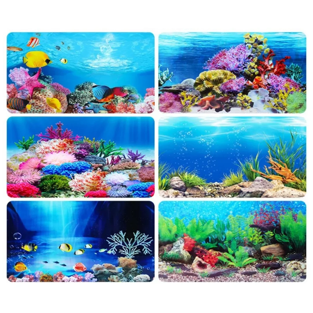 Background Aquarium 3D Sticker - đánh giá và giá Marine Aquarium Aquascape