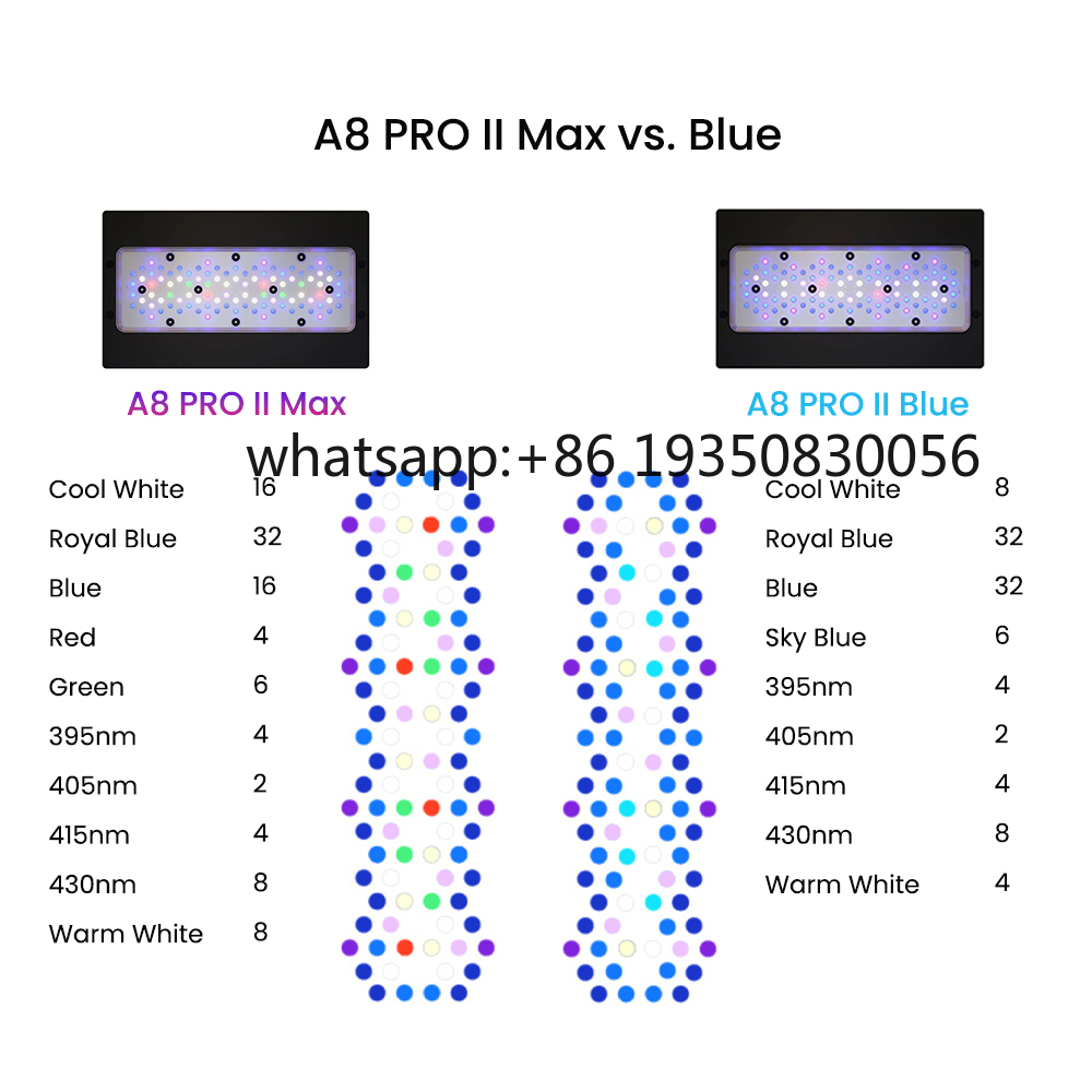 2026-A8 PRO II Max and Blue 24 - đánh giá và giá Marine Aquarium & Regional Centre Reviews