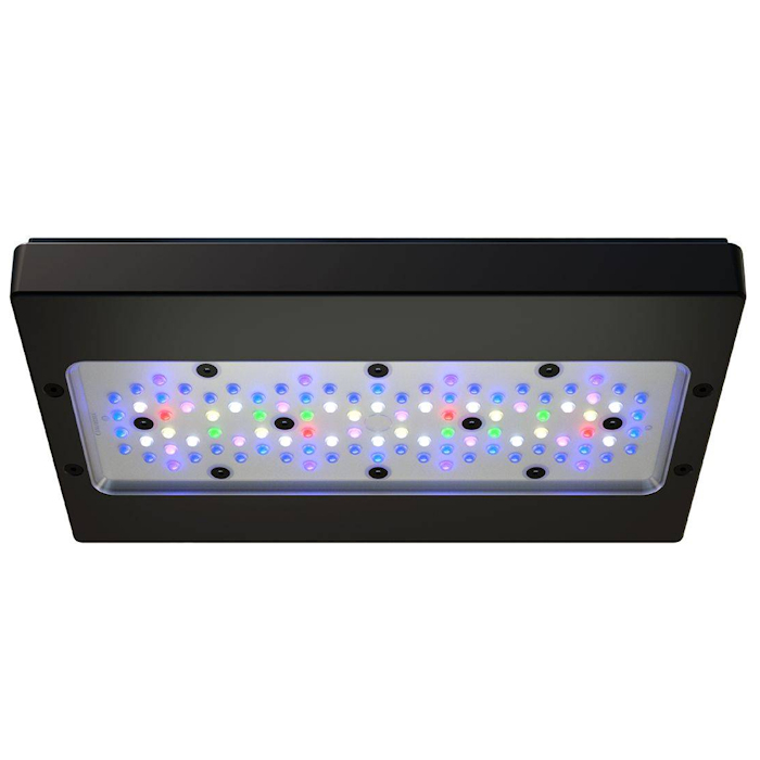 Applicable to A8 PRO III Max a - đánh giá và giá Aquarium Blue Marine