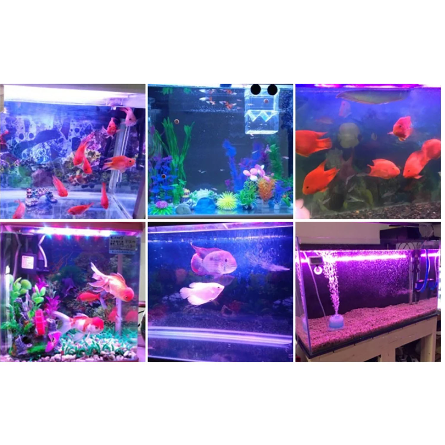 50W 60W 70W 100W RGB 26-28V Hi - đánh giá và giá Aquarium Blue Marine