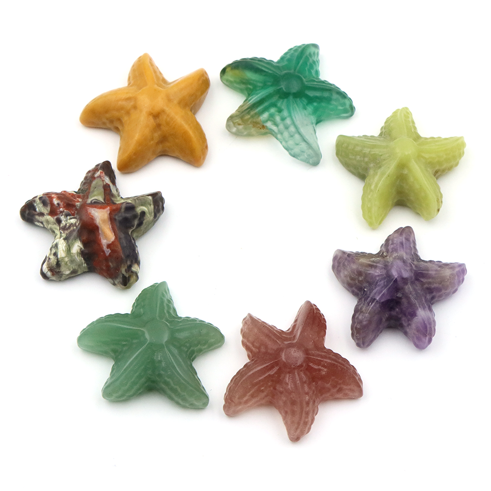 35mm Starfish Shape Statue Mar - đánh giá và giá Marine Aquarium & Regional Centre Reviews