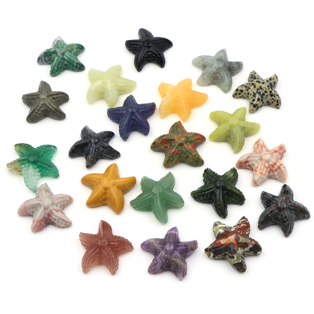 35mm Starfish Shape Statue Mar - đánh giá và giá Marine Aquarium & Regional Centre Reviews