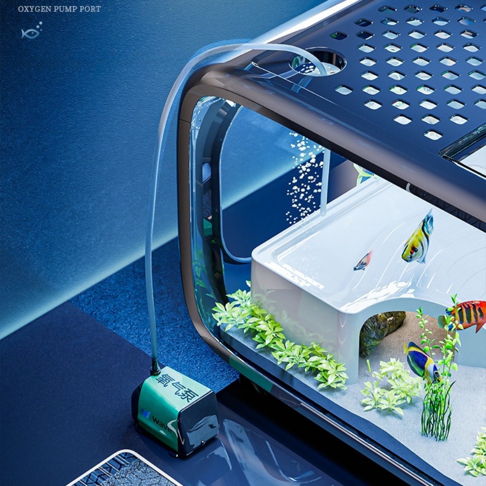 Transparent Luxury Fish Tank D - đánh giá và giá Marine Aquarium Aquascape