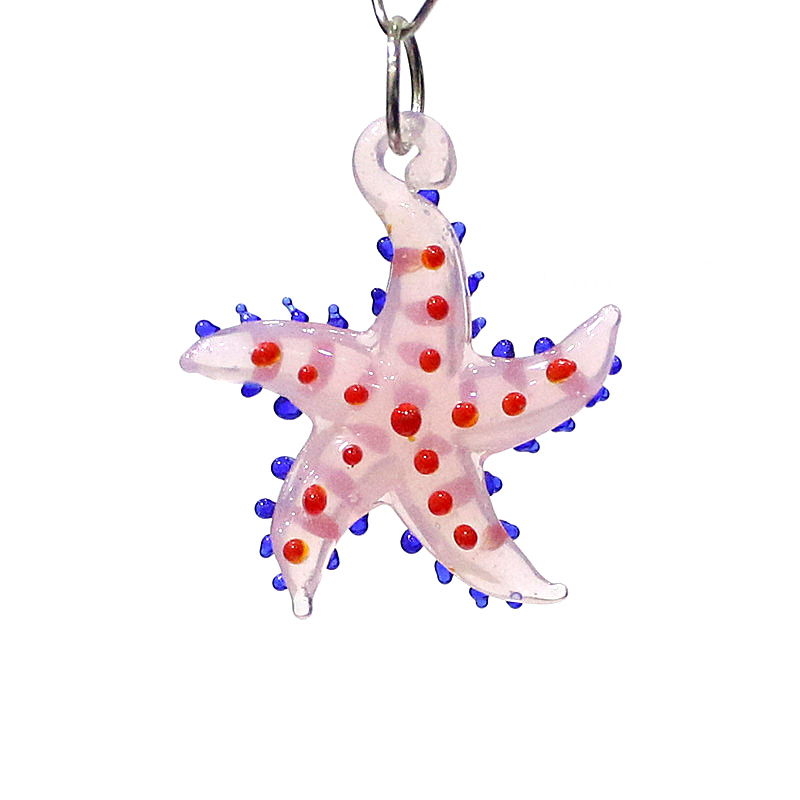 Cute Marine Animal Starfish Ch - đánh giá và giá Marine Aquarium & Regional Centre Reviews