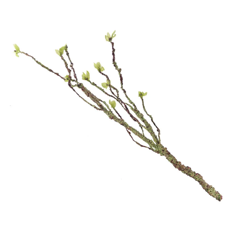 Vines Decor Climbing Branches  - đánh giá và giá Marine Aquarium Aquascape